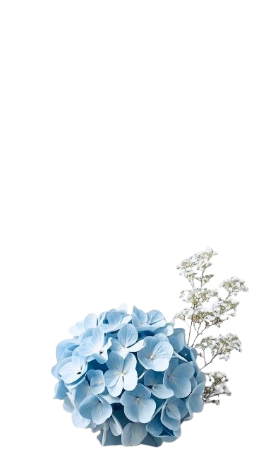 Flower Decoration